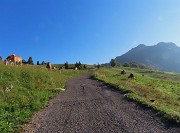 05 Vista in Monte GIoco con cavalli al pascolo